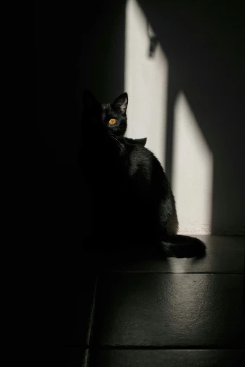a black cat sitting in the shade of a window