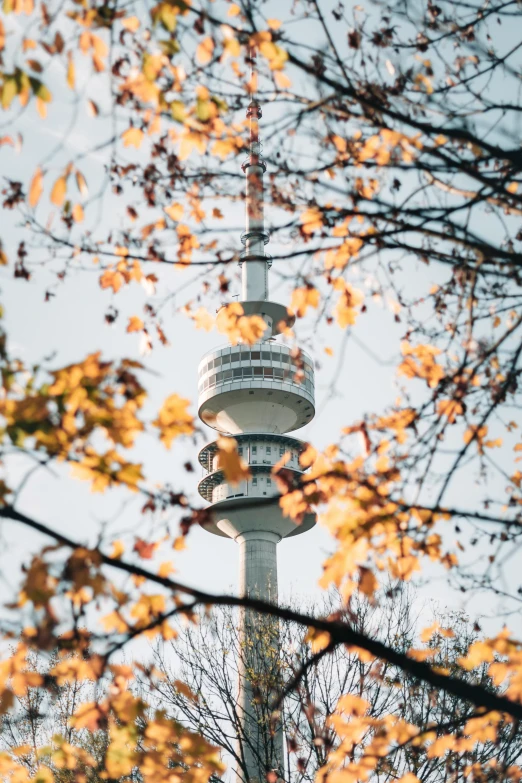 a tall tower with two spires in the middle of trees