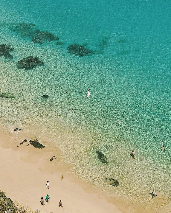 a group of people standing on top of a beach