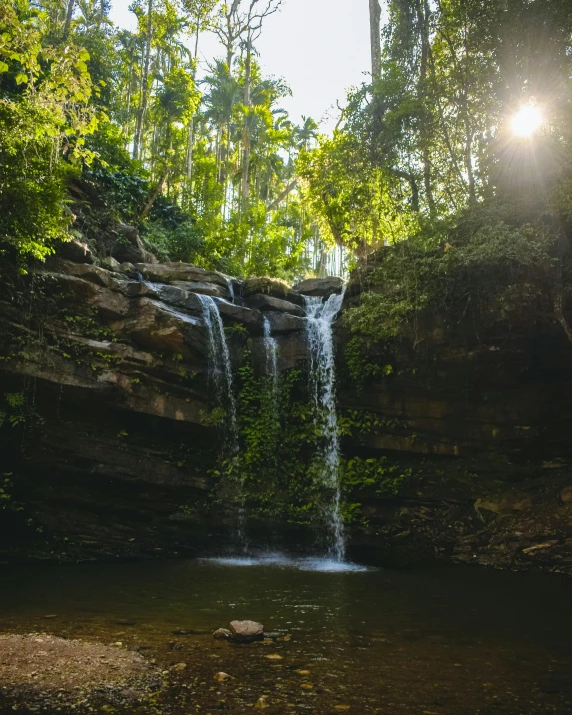 a stream running into a small waterfall surrounded by lush trees