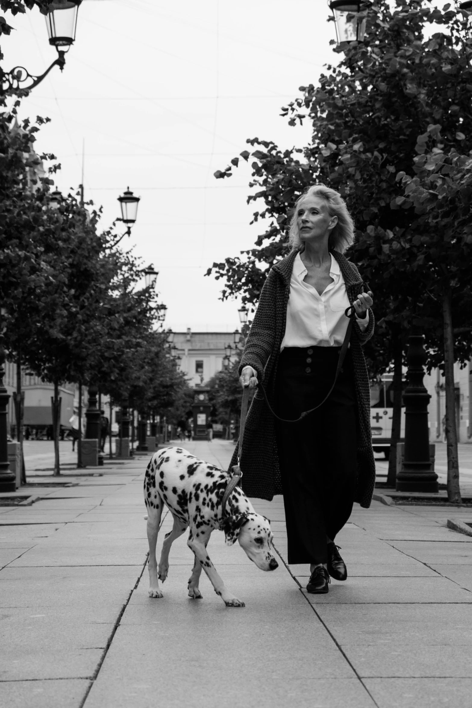 a woman walking a dalmatian dog along a city street