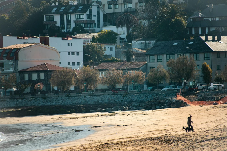 a woman walking her dog on a beach