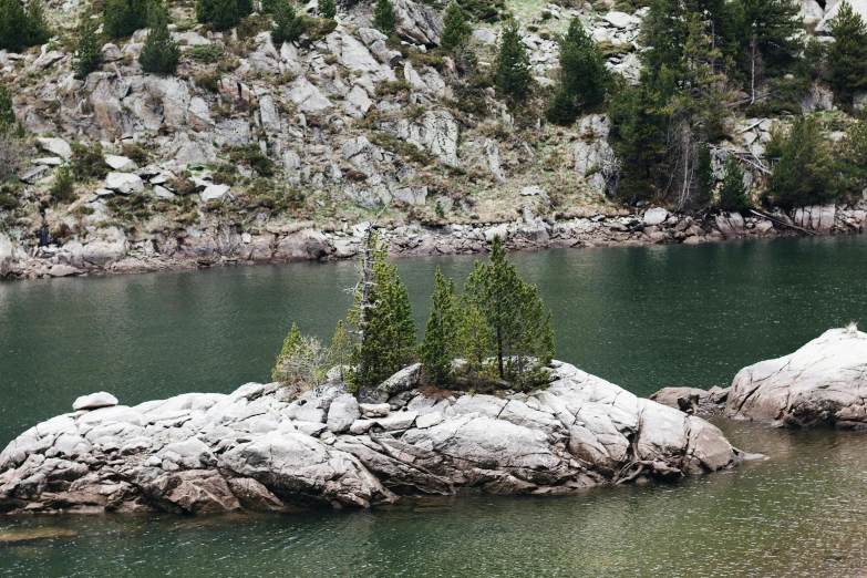 a single tree stands on an island at the edge of the water