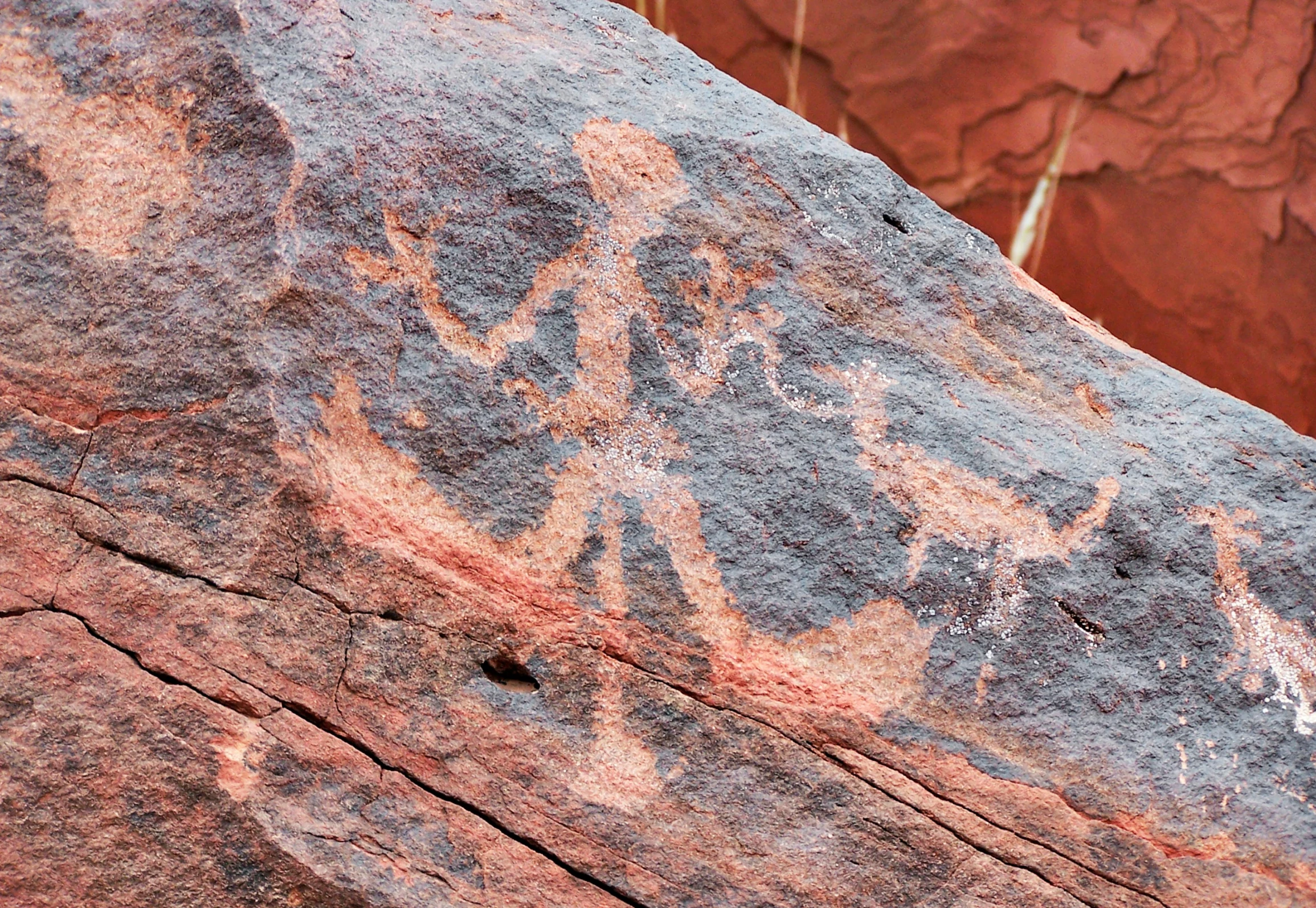 a rock painted with a pattern and a bird