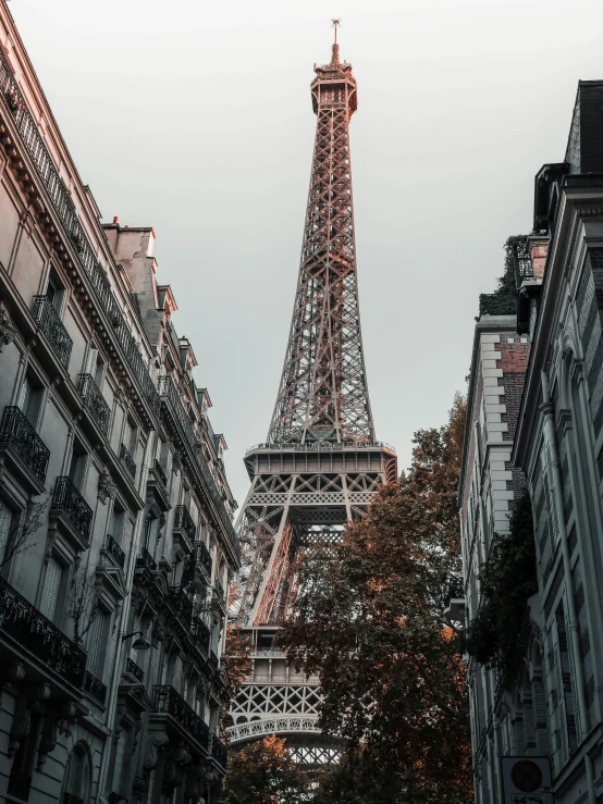 the eiffel tower is very tall and it stands in a city