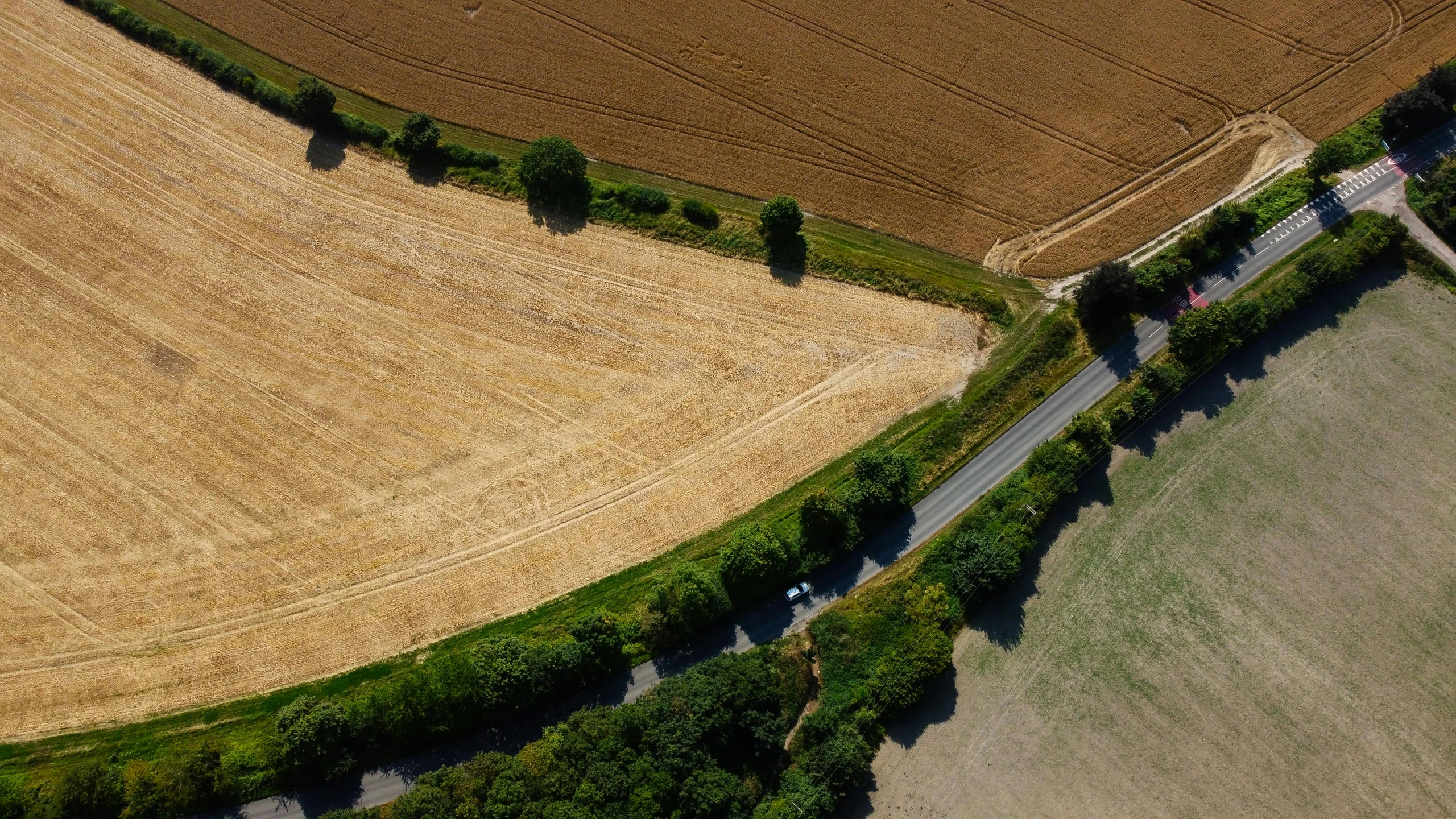 a road in front of a field with trees and grass