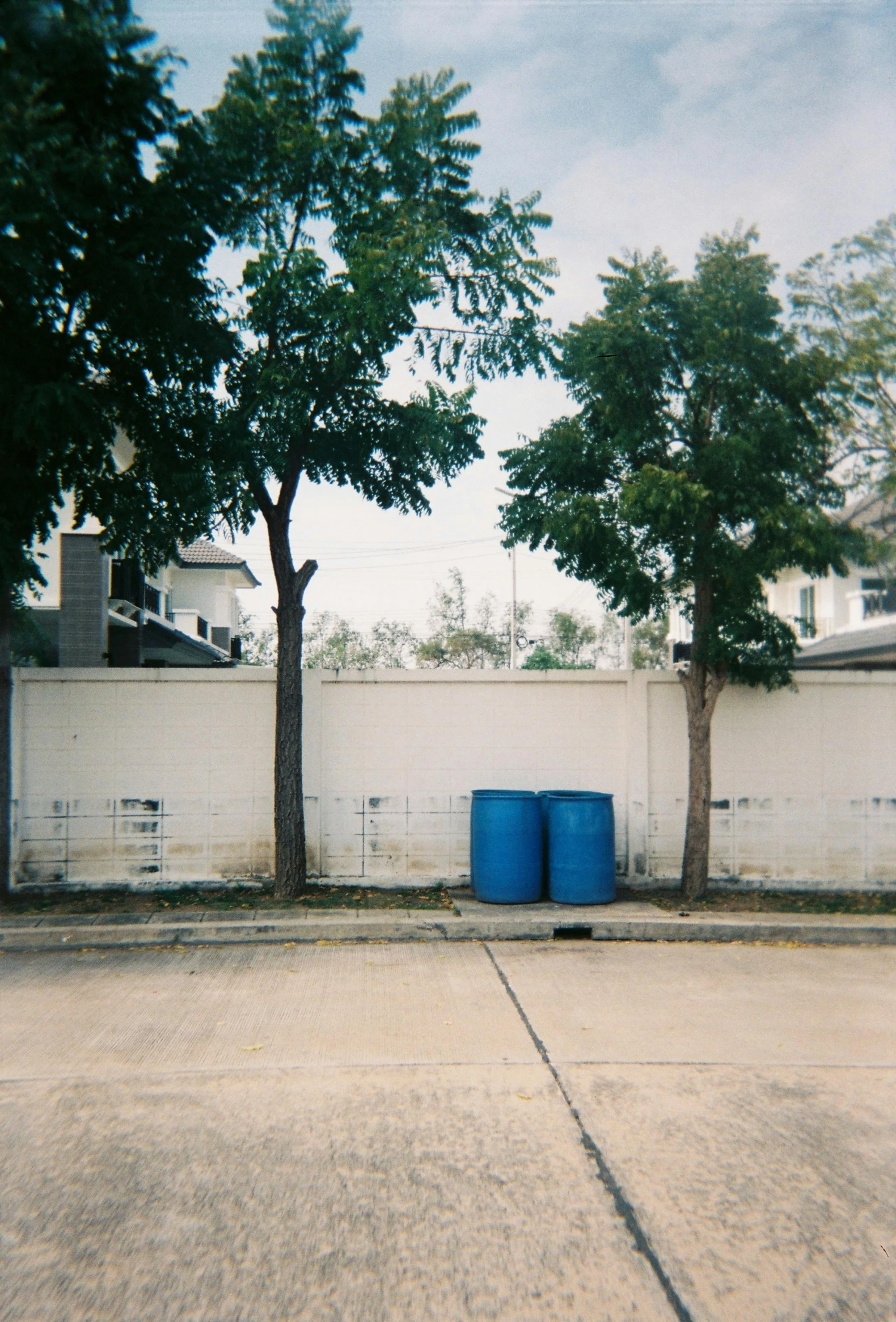 the blue barrels are next to two trees