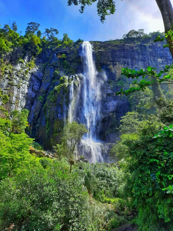 the waterfalls in the forest are very tall