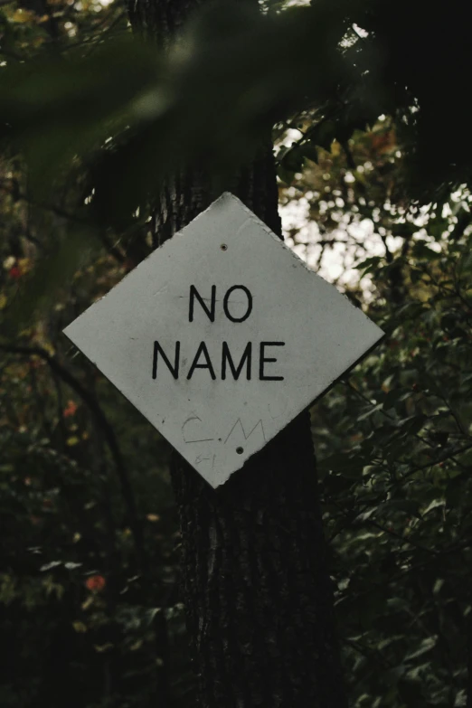 a sign is posted on a tree in the woods