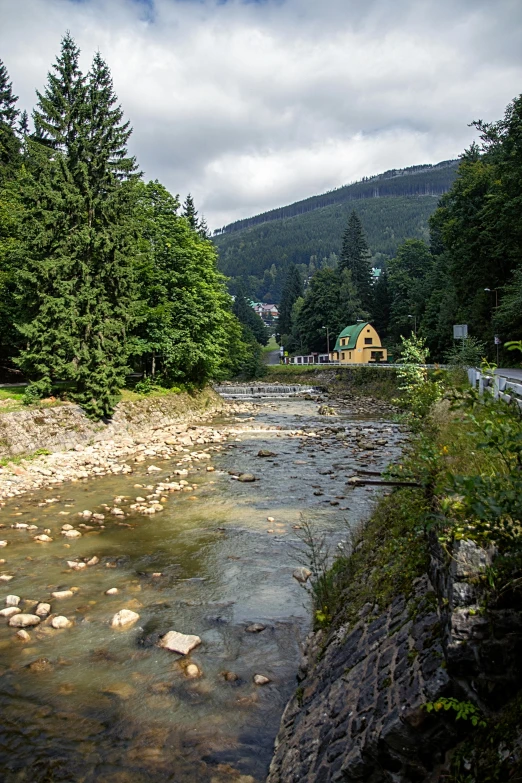 a river runs through the center of a forested area