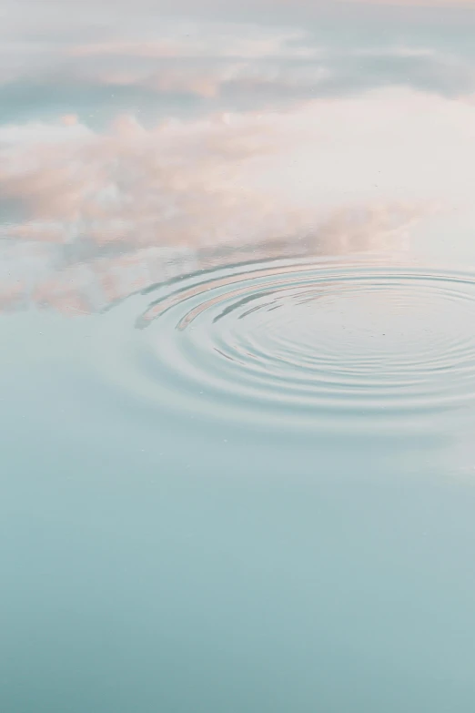 an image of a duck swimming in the water