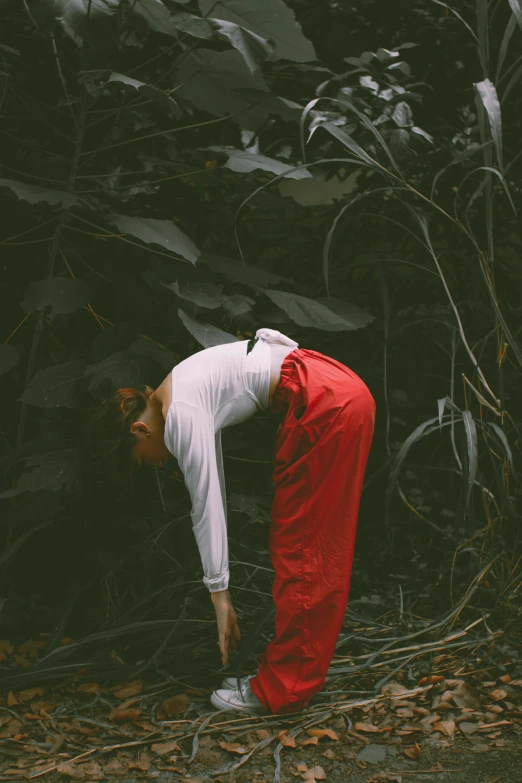 a man leaning against a rock in the middle of a forest