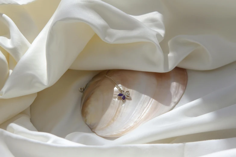 a shell on top of some white cloth