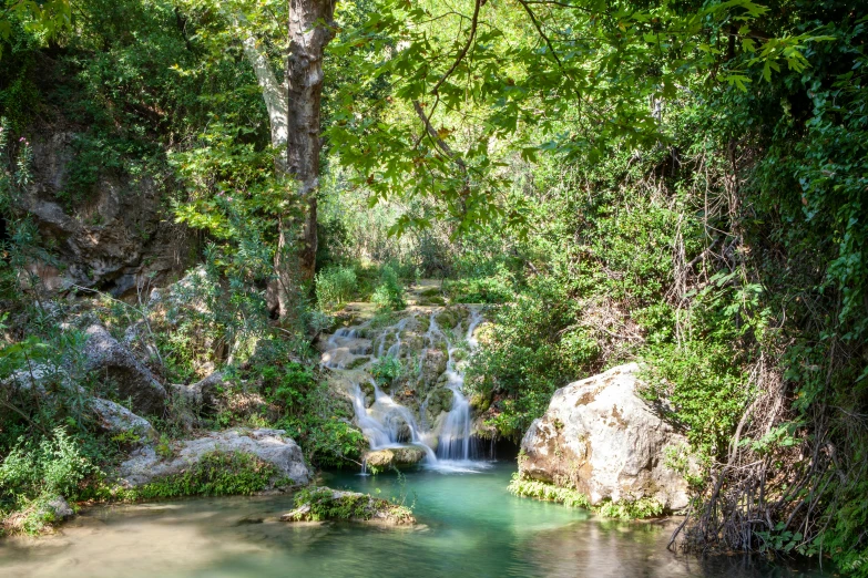 a small waterfall in a forest with a clear lake