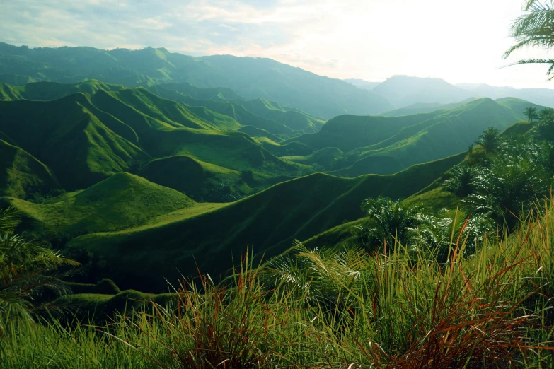 green hills and trees in the foreground, with light coming through the forest