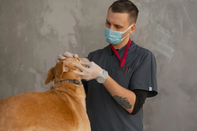 a man with a mask and gloves on pets a dog