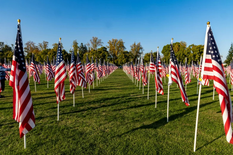 dozens of american flags on the ground in a field