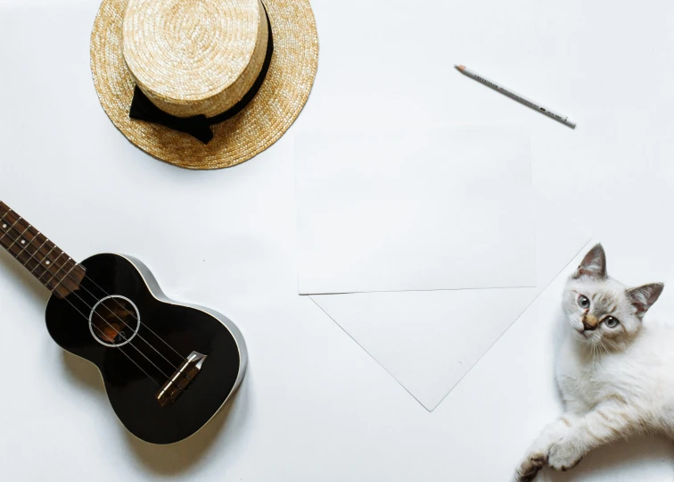 a cat laying on top of a white table near a hat