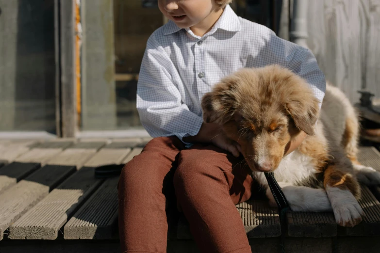 a boy sitting on the back of a brown and white dog