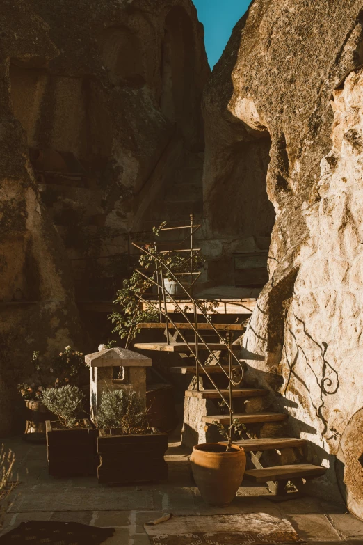 potted plants on steps leading to the top of rocks