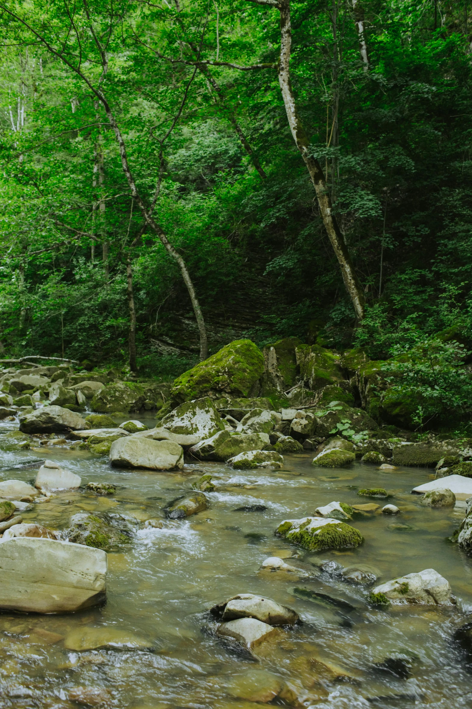 a man that is standing in the water with rocks