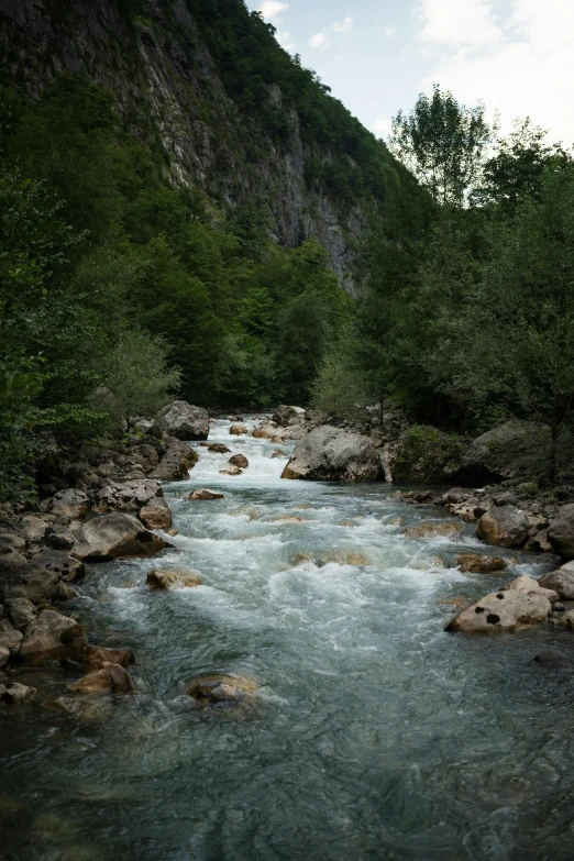 there is a river running through the woods