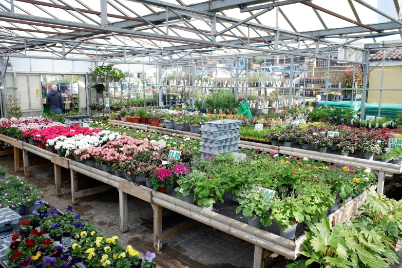 a view inside a greenhouse looking towards the plant area