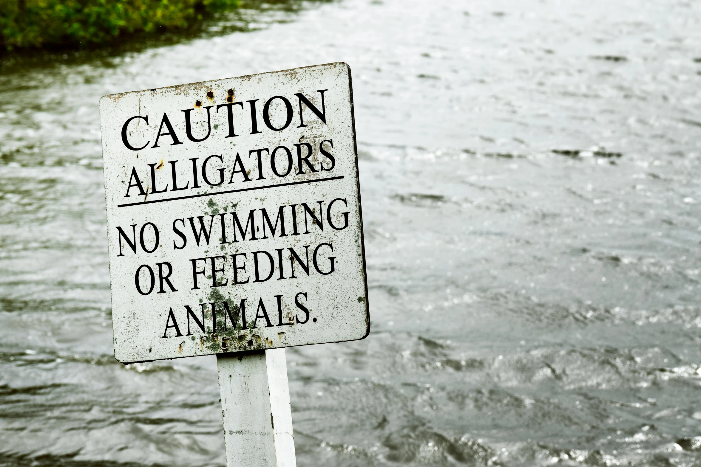 the caution sign is near a waterway and grass