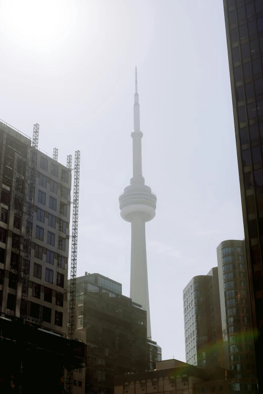 the skytower stands tall above the skyline of downtown