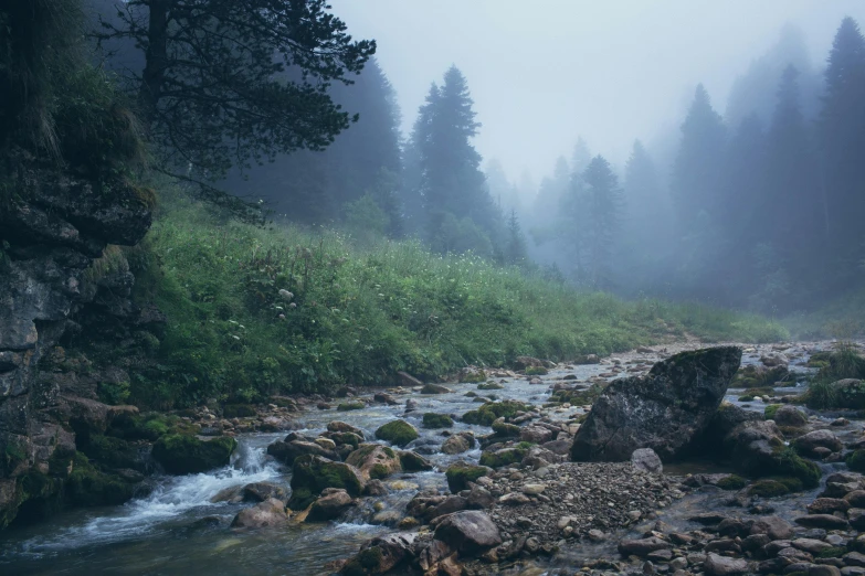 a small creek on the edge of rocks in the woods