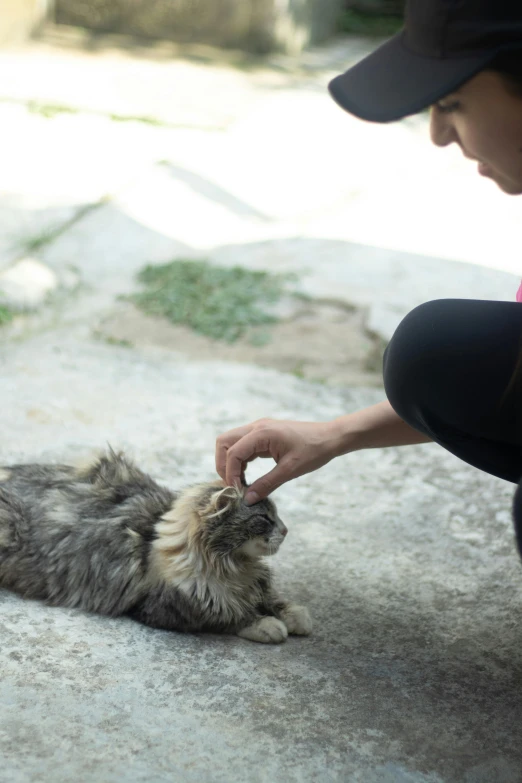 a person petting a small kitten on the cement