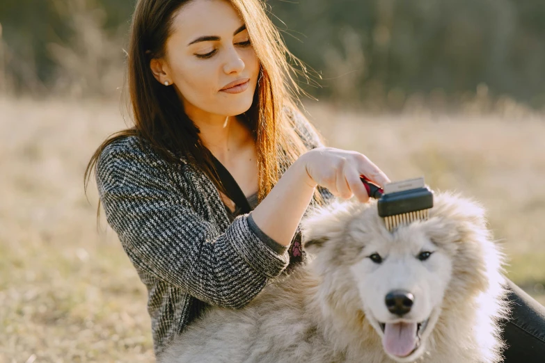 woman combing dog's mane outside in the field