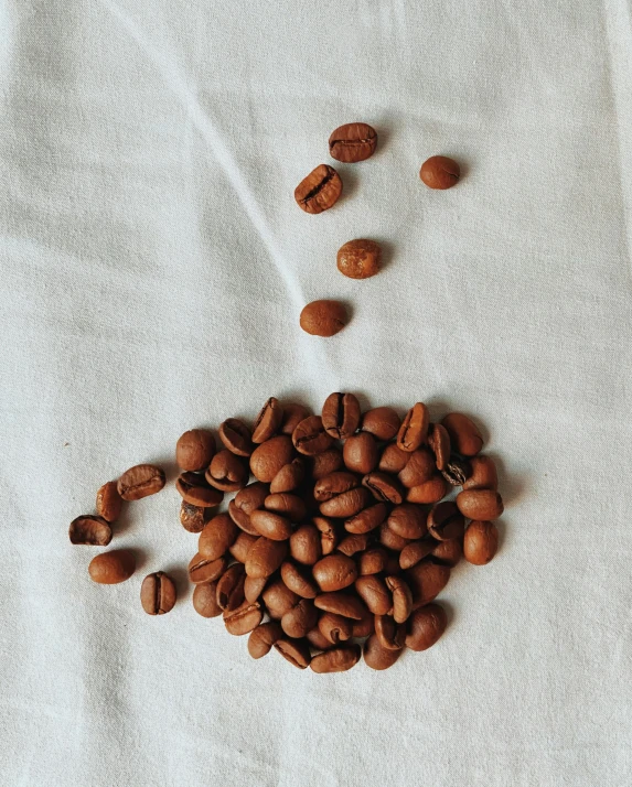 coffee beans spilled into the center of a white tablecloth