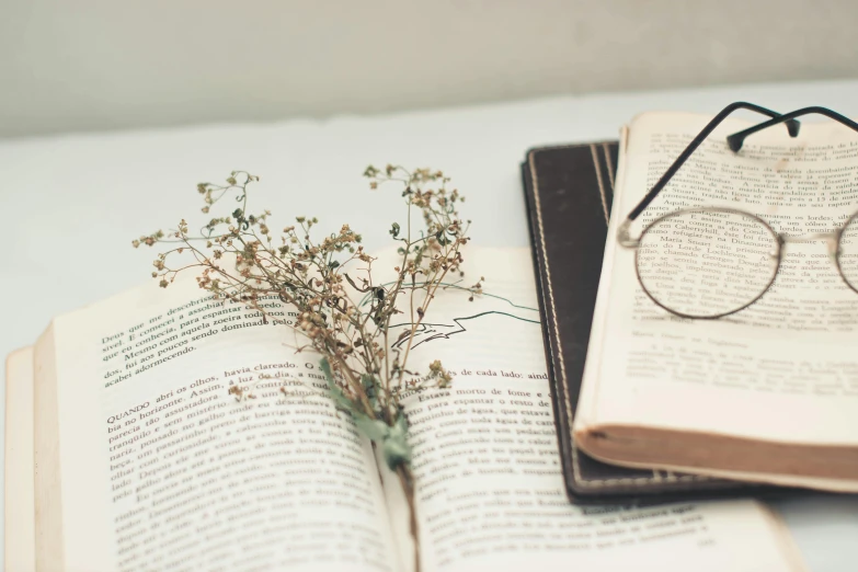 a book that has glasses on it near a vase