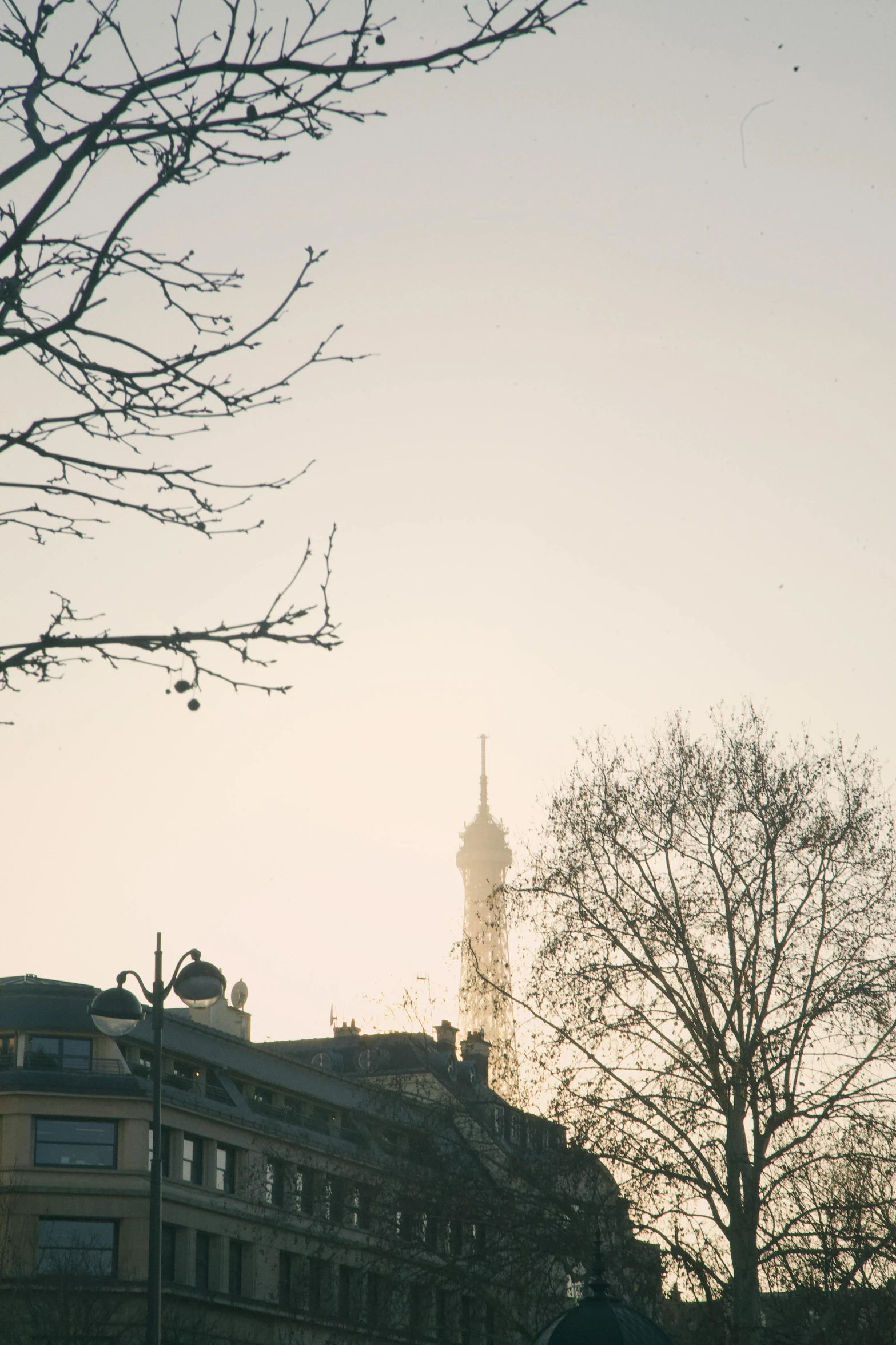 a street view of buildings with two trees in the foreground