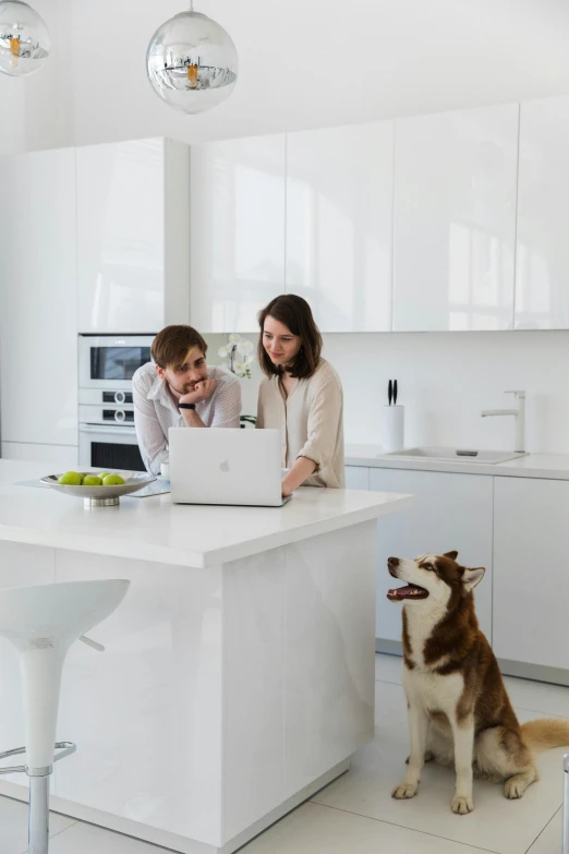 a man and woman working at a laptop next to a dog