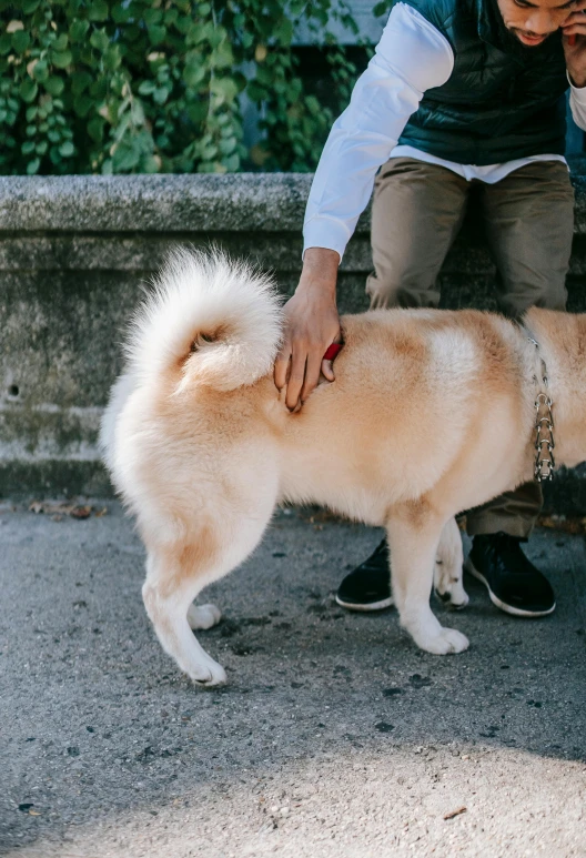 the large white dog stands beside a persons feet and a man