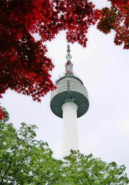 a white tower on top of trees with red leaves