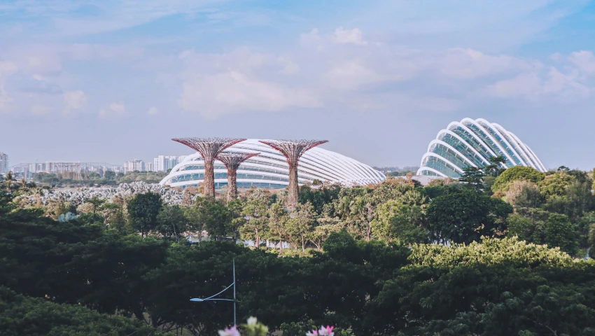 a city filled with lots of tall buildings surrounded by trees