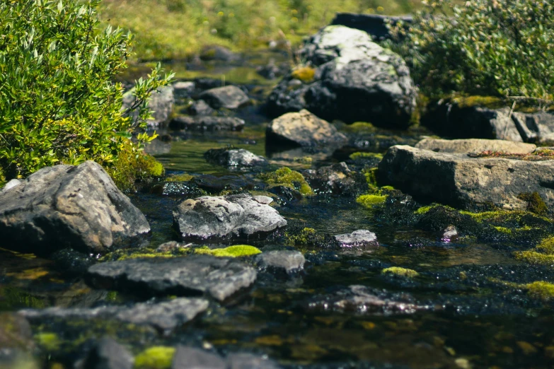 small stones and rocks in a river