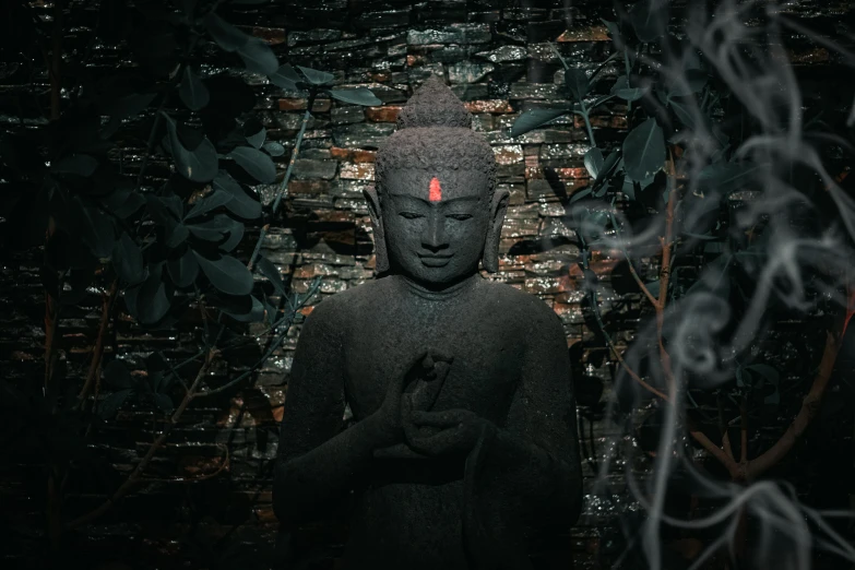a buddha statue is surrounded by smoke and plants