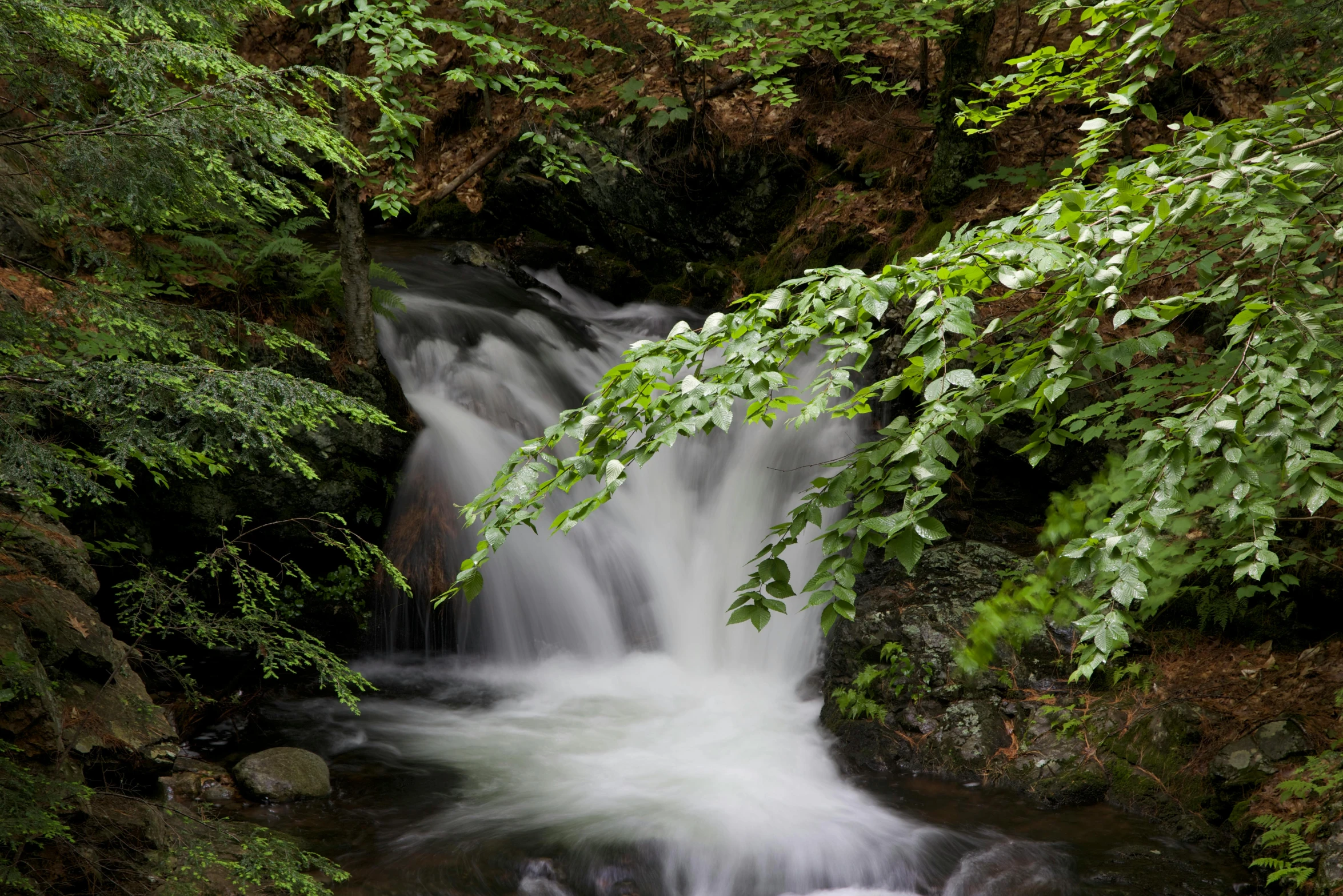 this is an image of water flowing