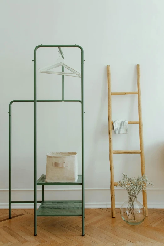 a living room scene with a potted plant and wooden ladder