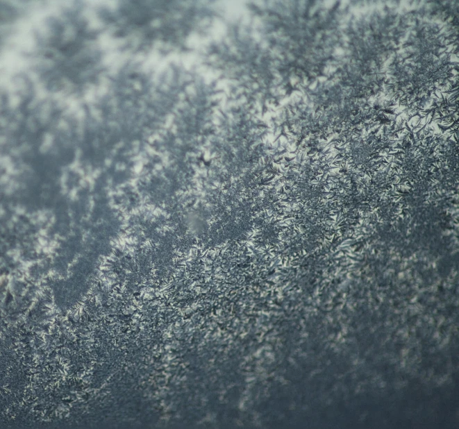 a tree filled with lots of frost on top of a field