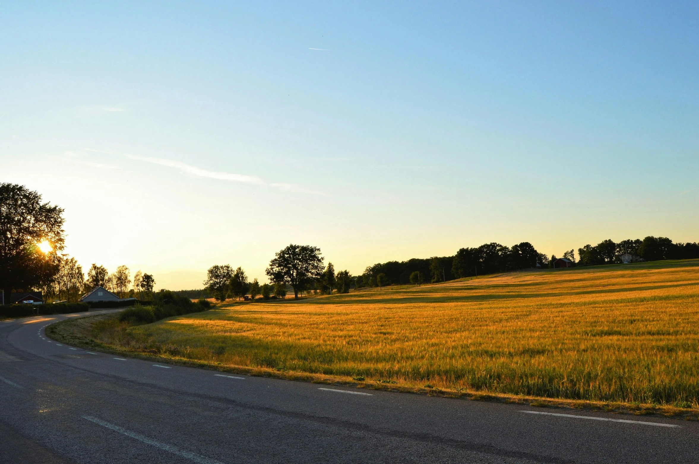 a rural road with yellow grass in the background