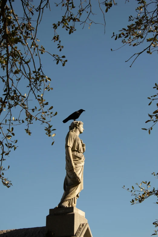 a statue with a bird perched on top of it