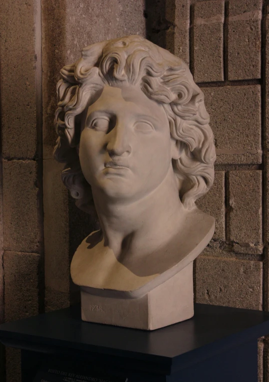 a marble head with wavy hair on display
