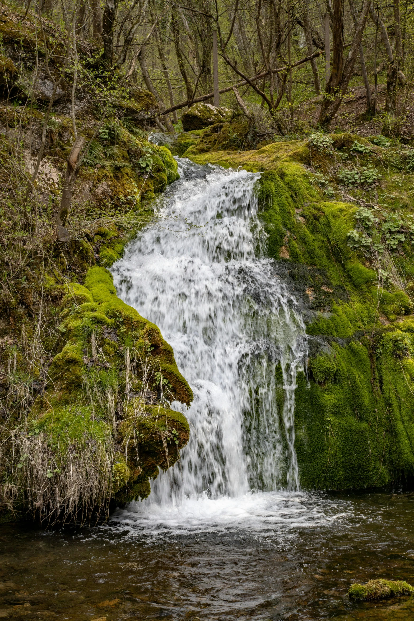 a small waterfall of water surrounded by green moss