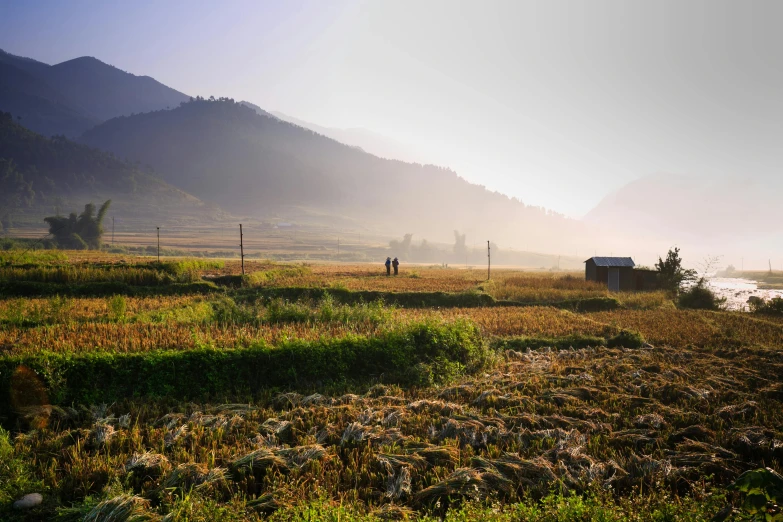 a rural field and a large body of water