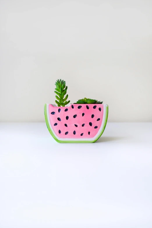 a painted watermelon has a tiny green plant sticking out of it